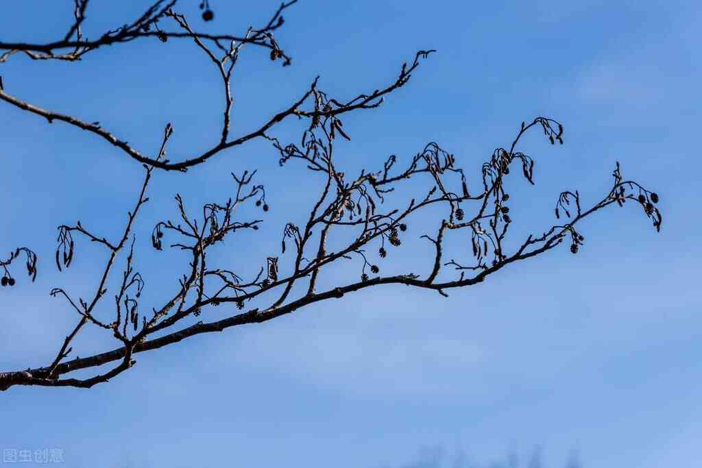 臉部用任何化妝品都刺疼(臉部用任何化妝品都刺疼正常嗎)