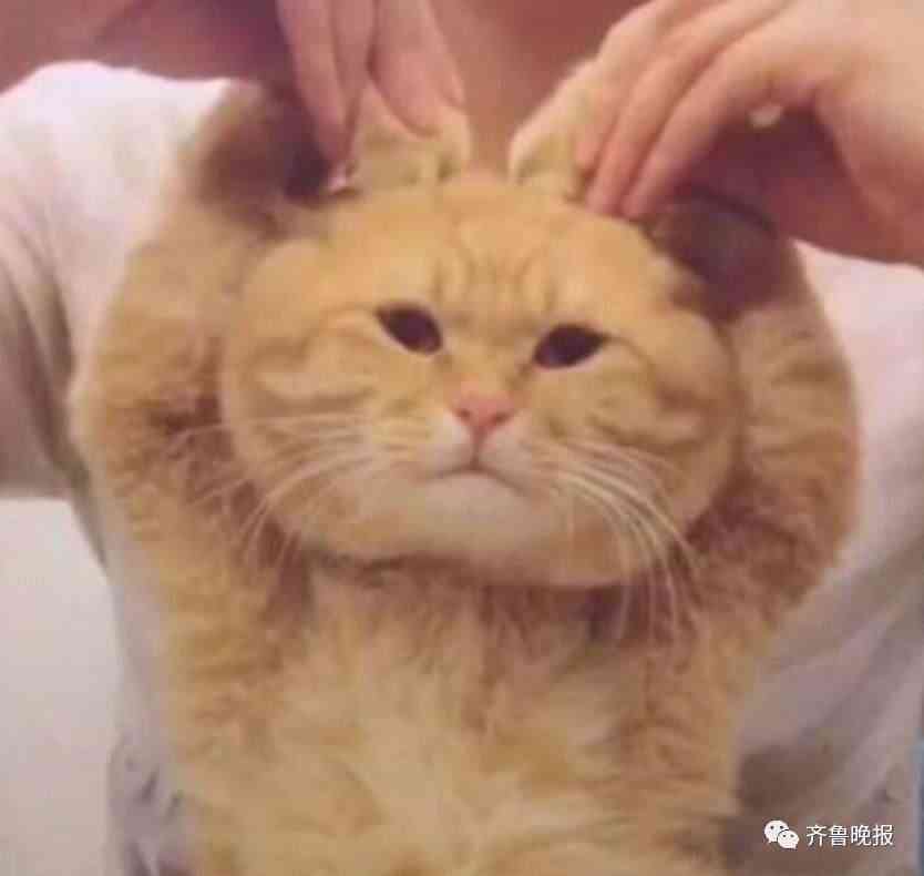 大媽去買名牌化妝品被騙(大媽去買名牌化妝品被騙視頻)