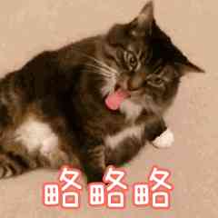 羥脯氨酸在化妝品的作用(羥脯氨酸在化妝品的作用是什么)