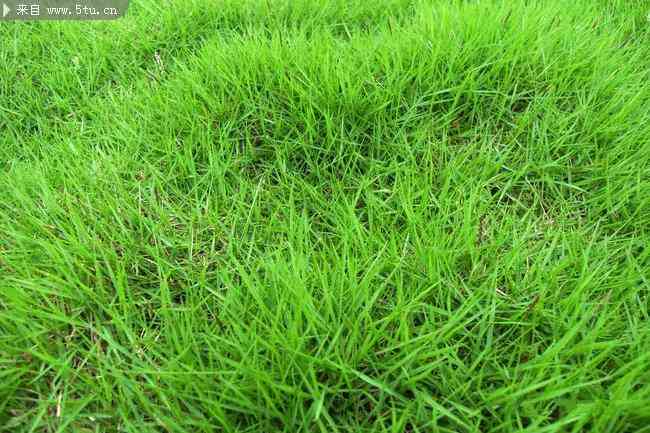 美麗春天的化妝品是正品嗎(美麗春天的化妝品是正品嗎圖片)