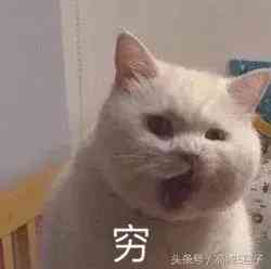 霞飛化妝品禮盒拍照(霞飛化妝品落敗的原因)