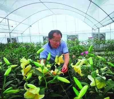 什么植物自制化妝品(什么植物自制化妝品最好)