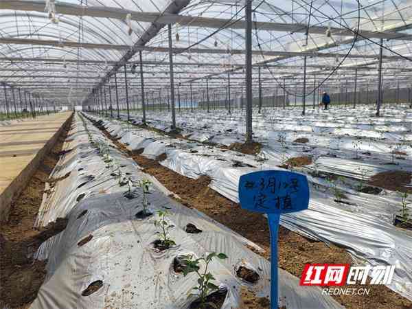 眾源化妝品是正品嗎(眾源化妝品是正品嗎知乎)