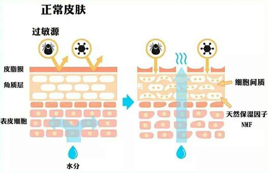 用化妝品臉疼怎么回事(這兩天用化妝品臉上疼怎么回事)