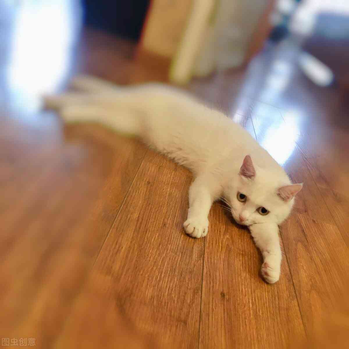 男的化妝品在哪里買(男的化妝品在哪里買比較好)