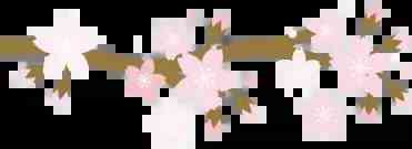 如何成為膏狀的化妝品(如何成為膏狀的化妝品牌子)