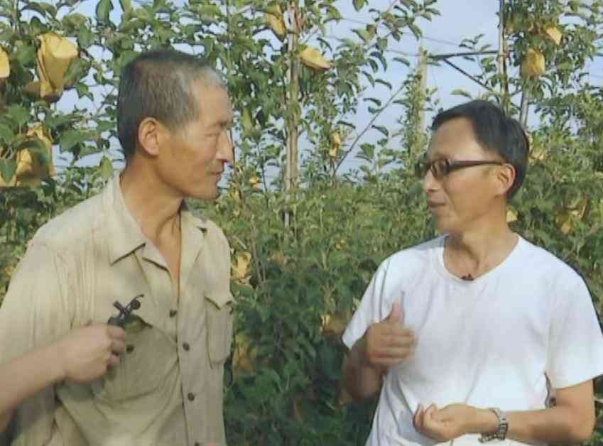 化妝品果本五件套(化妝品果本是哪里的產(chǎn)地)