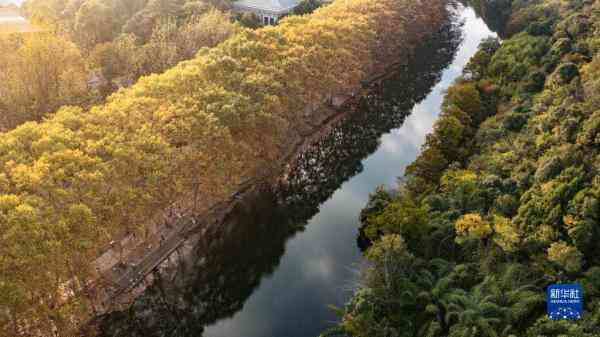 花都黃金價格今日查詢(花都黃金價格今日查詢表)