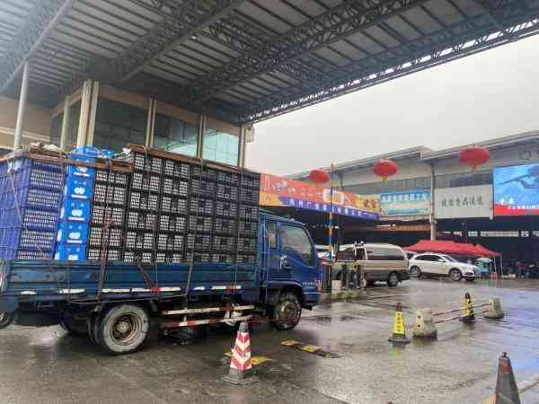 青島電視臺今日金價(jià)回收(青島今日黃金回收價(jià)格查詢)