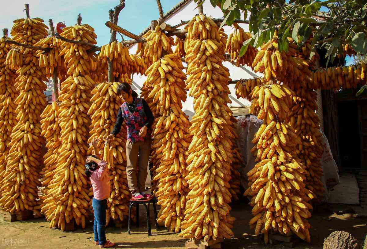 宣威市今日金價(jià)(宣威市今日金價(jià)查詢)