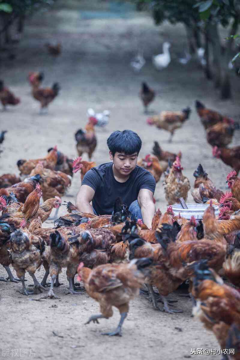 今日金價二零二一年五月四(今日金價2021年5月16日)