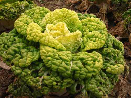 淮南今日黃金價(jià)格表查詢(淮南今日黃金價(jià)格表查詢電話)