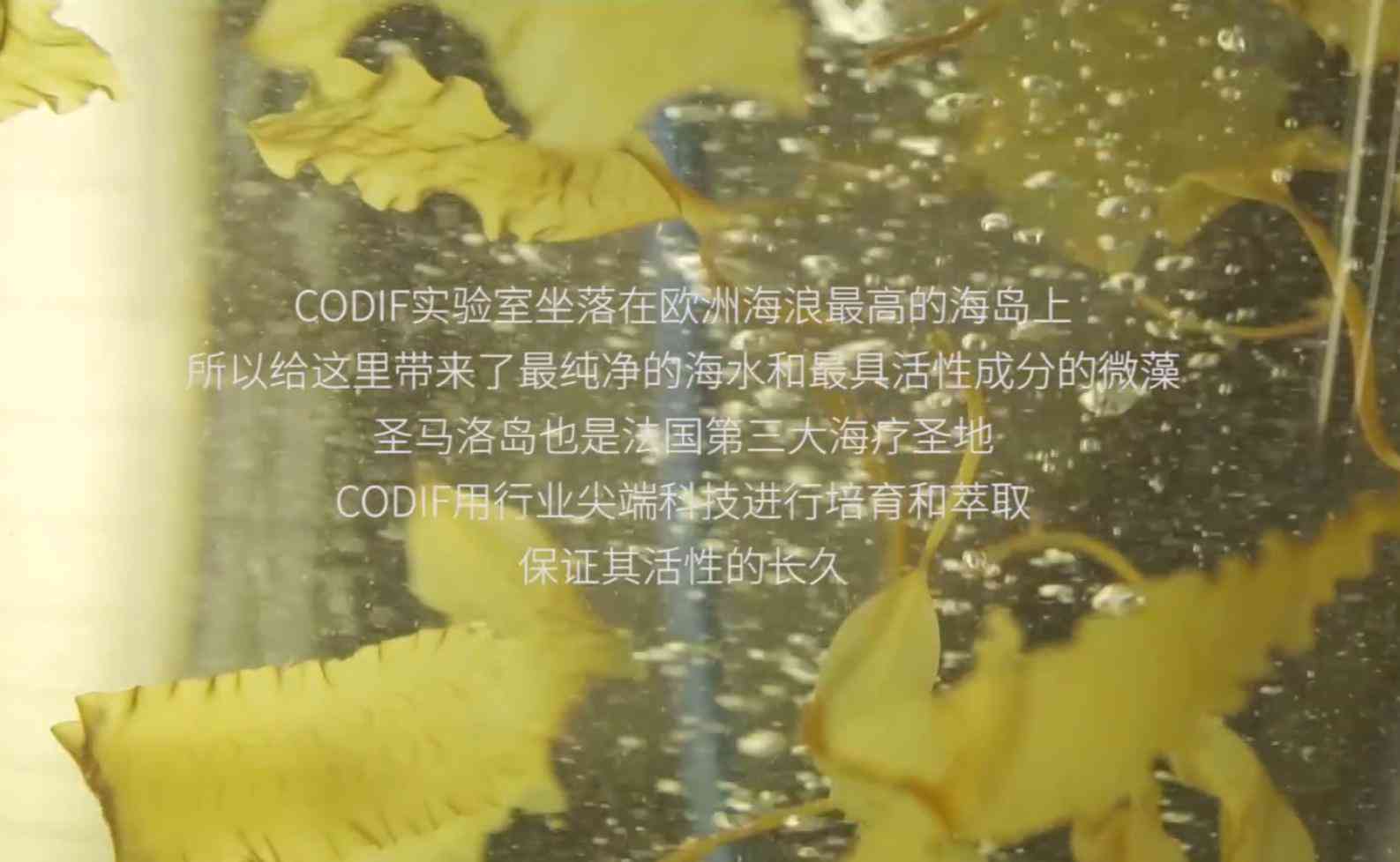 連云港運輸韓國化妝品(連云港港口化妝品能買嗎)