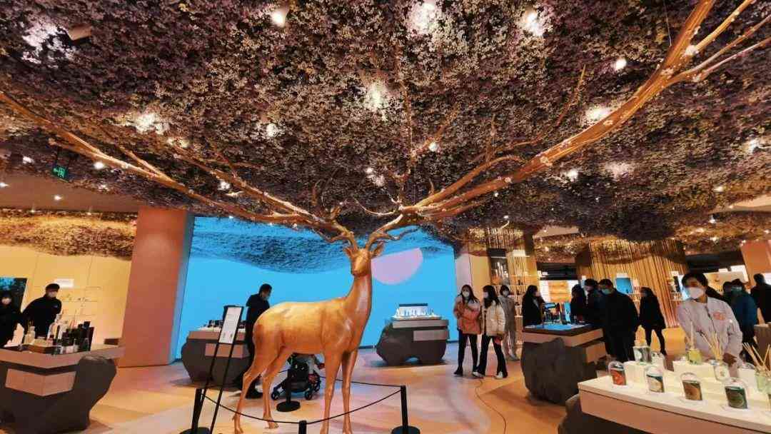 石家莊有化妝品廠嘛在哪(河北石家莊有多少化妝品公司)