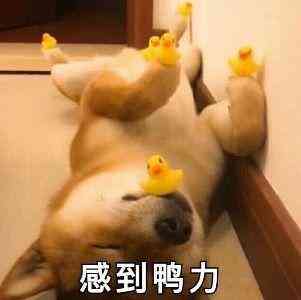 谷雨化妝品可靠嗎(谷雨化妝品有限公司)