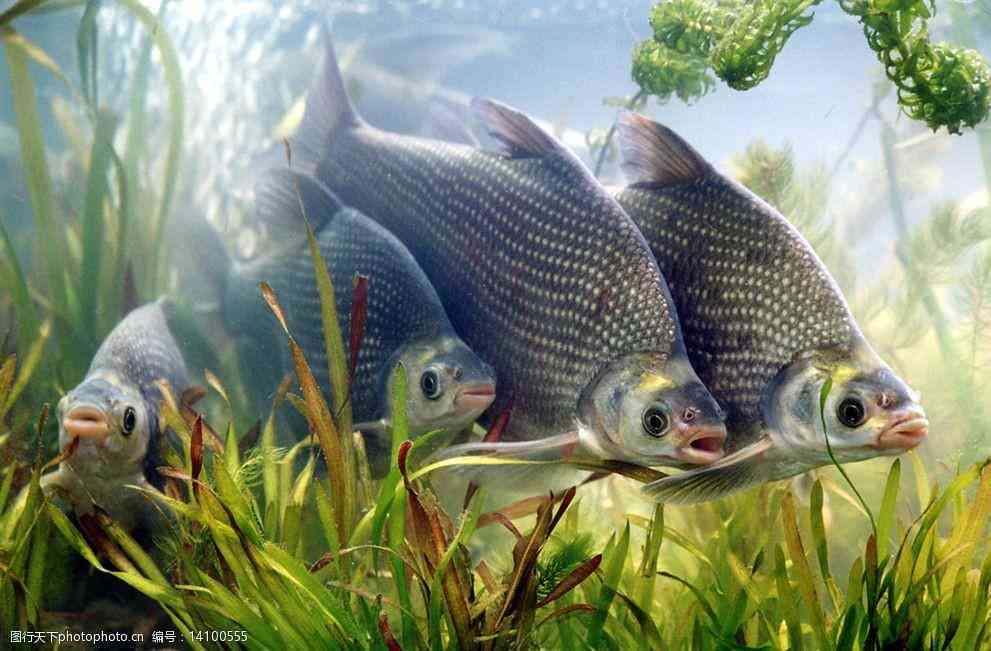 珍采蜜釀化妝品怎么樣(珍蜜堂價(jià)格表)