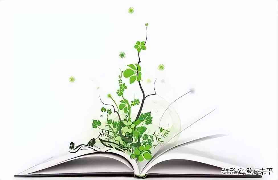 米色黃色的化妝品店名(米黃色好聽的名字)