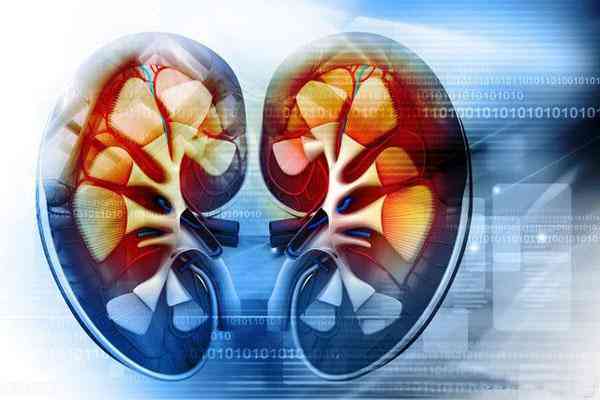 美白化妝品真的有效嗎(美白化妝品真的能美白皮膚嗎?)