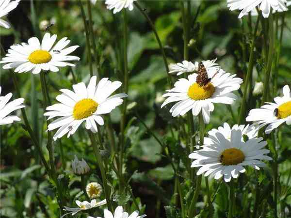 媽媽自己給孩子化妝品嗎(媽媽幫孩子化妝)