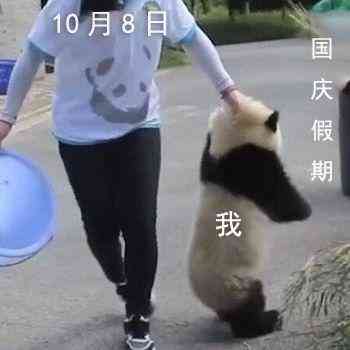 化妝品pj什么意思(化妝品pg是什么意思)