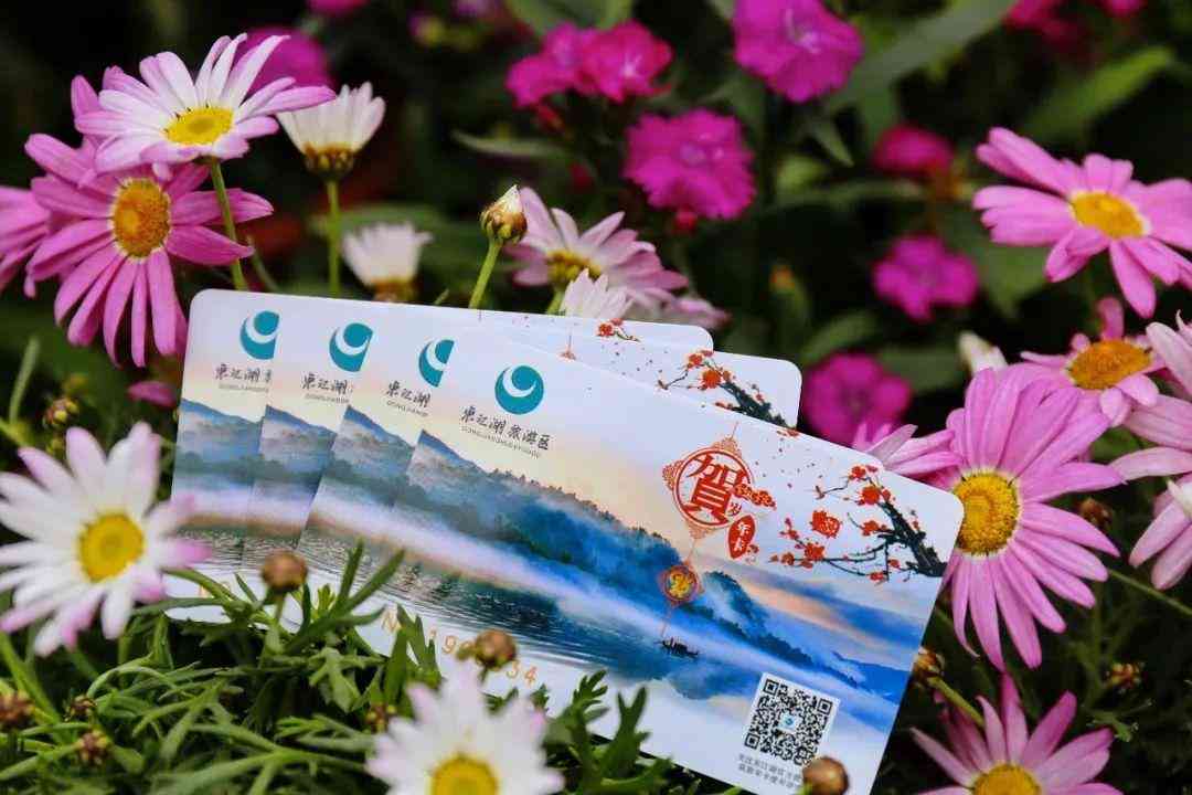 游泳想帶化妝品下水可以嗎(游泳可以擦的化妝品)