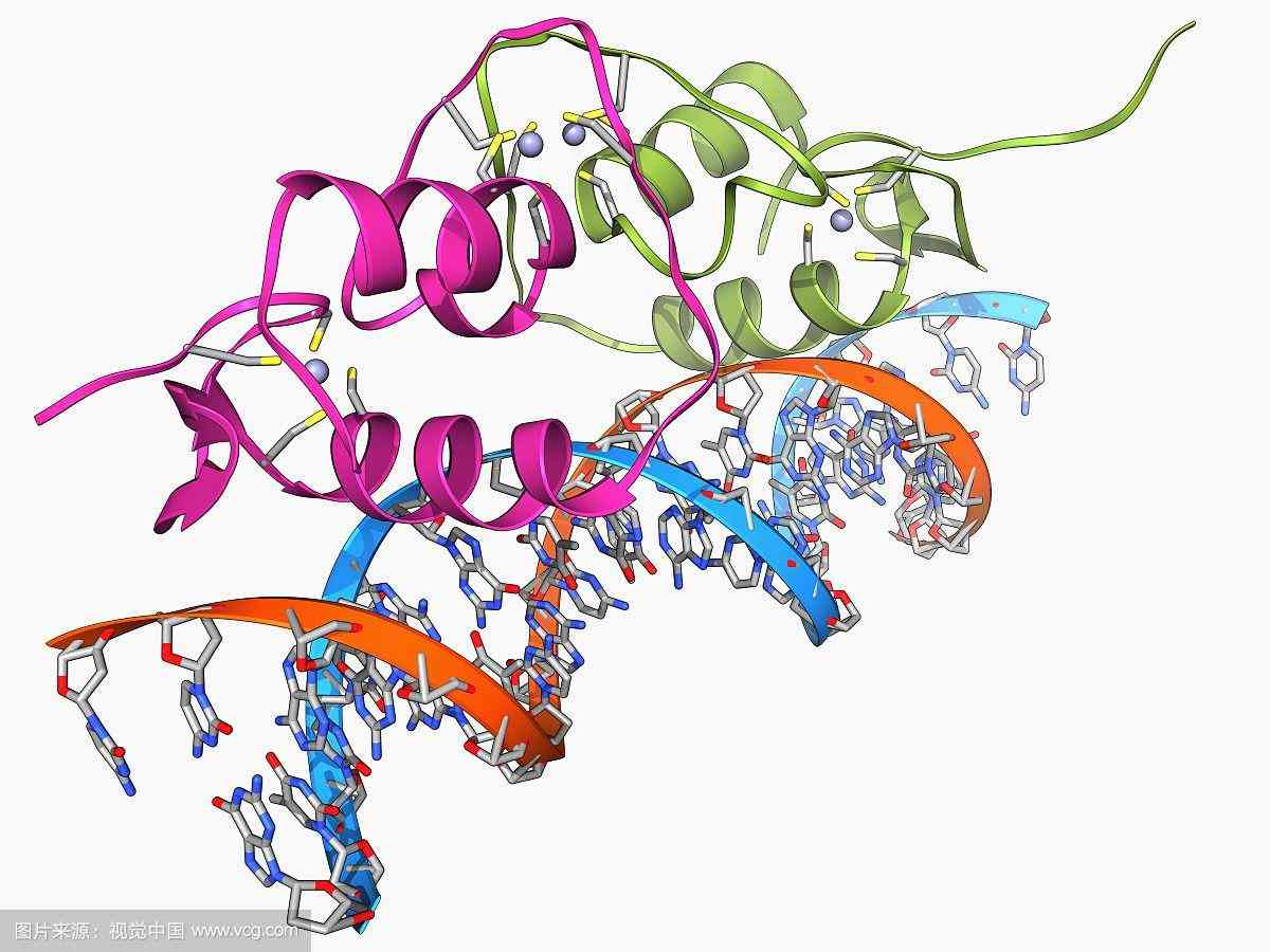 化妝品怎么看有沒(méi)有雌激素(化妝品如何看有沒(méi)有激素)