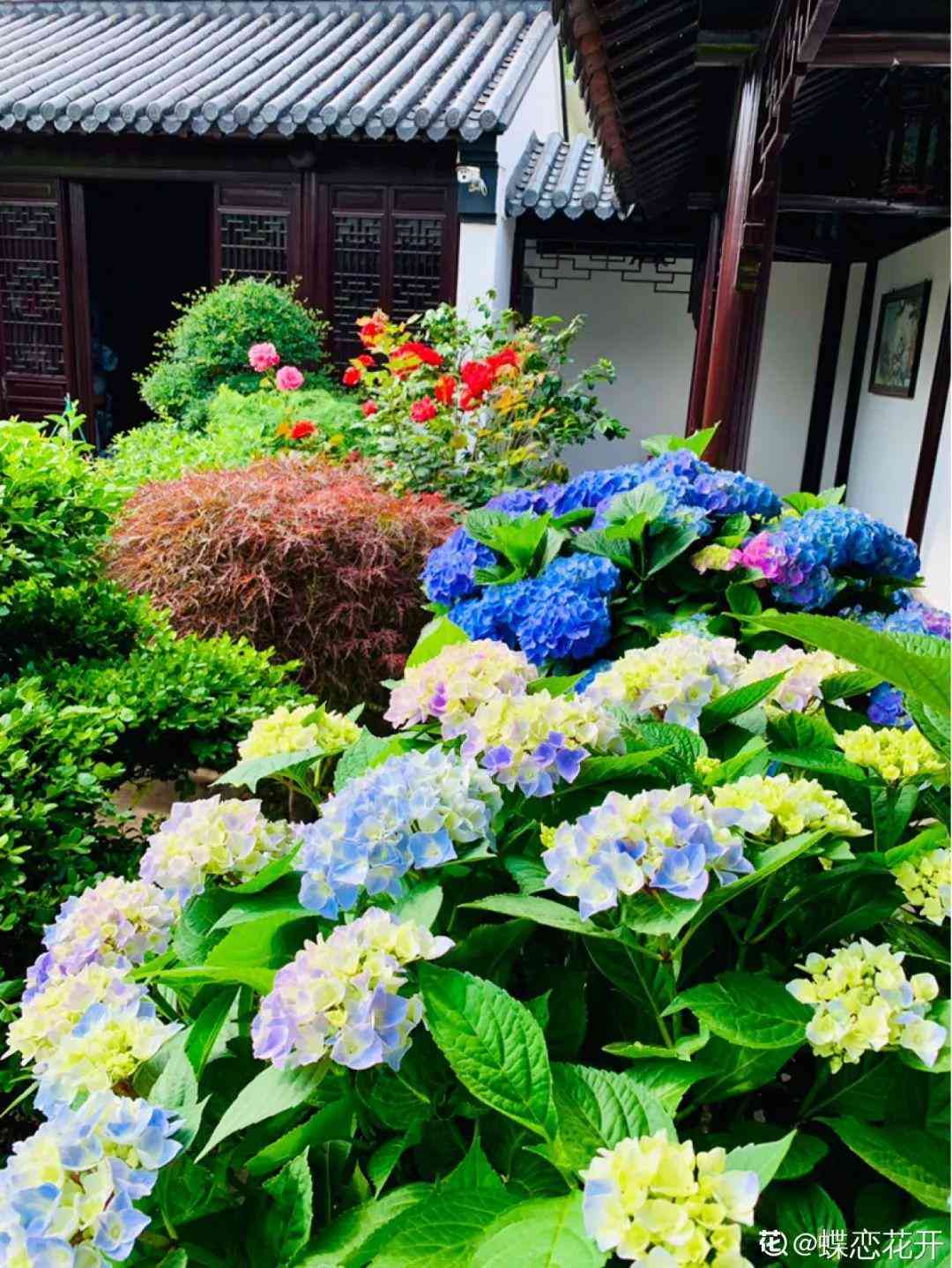 好看的化妝品小空瓶怎么用(化妝品空瓶怎么洗干凈)