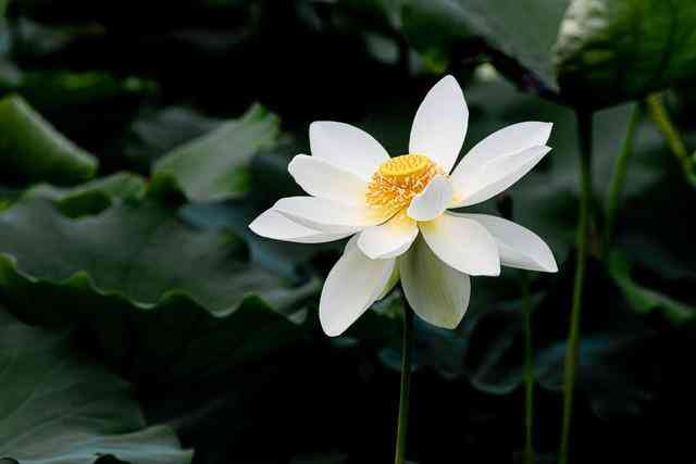 結(jié)婚禮物送什么好(送女性朋友結(jié)婚禮物送什么好)