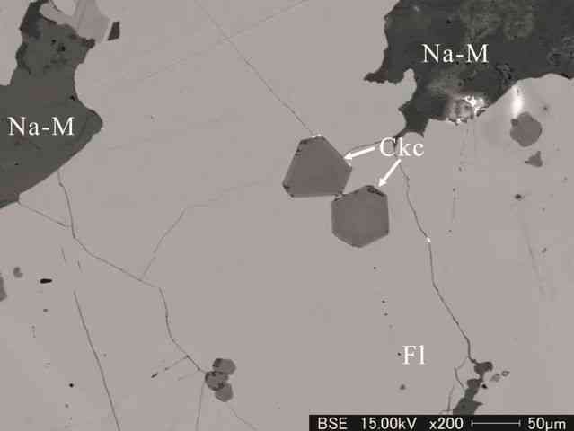 什么軟件可以鑒定玉石的真假(正規(guī)玉石交易平臺(tái))