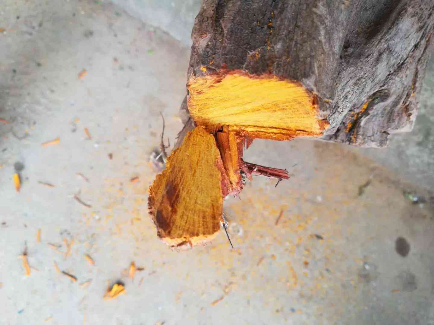 玉石原石鑒別最簡(jiǎn)單方法如下(玉石原石圖片)