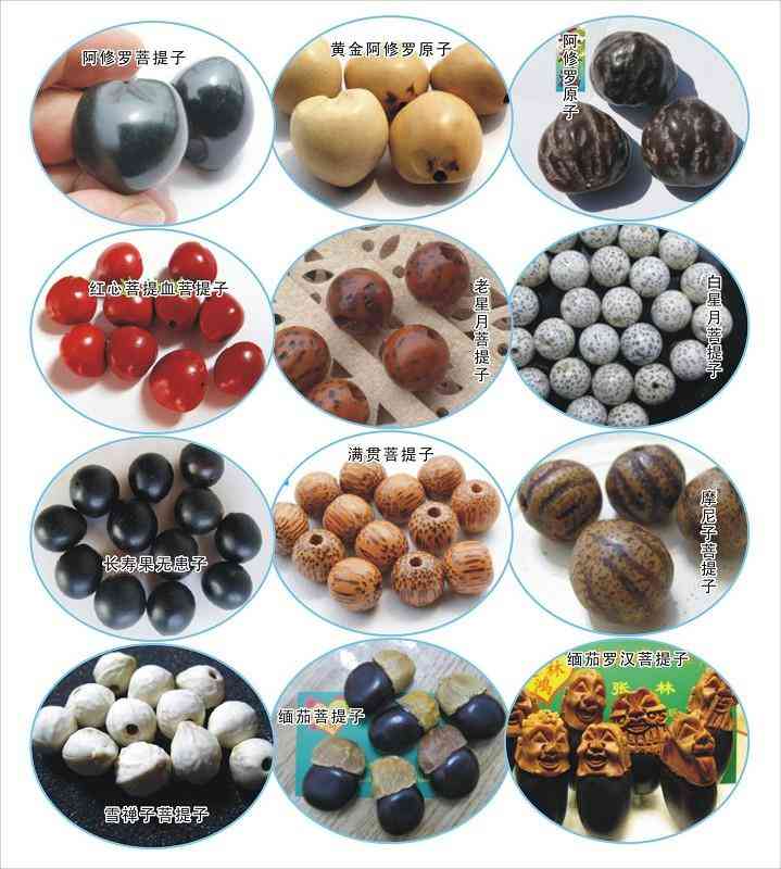 南紅瑪瑙的寓意(南紅瑪瑙的寓意和禁忌)