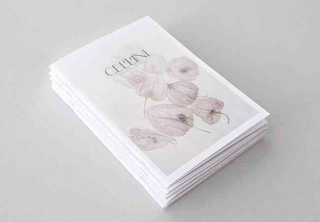 戴夢得珠寶品牌簡介(戴夢得珠寶是誰開的 影帝)