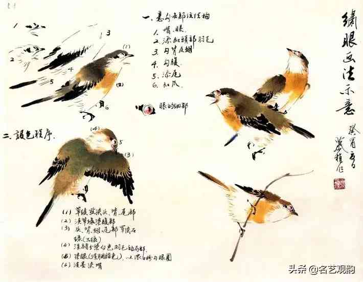 珍珠鳥課文筆記(珍珠鳥課文筆記圖片分段)