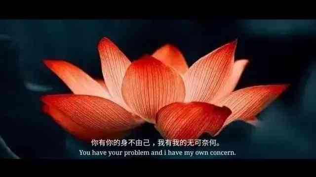 琥珀是怎么形成的過程(琥珀是怎么形成的過程50字)