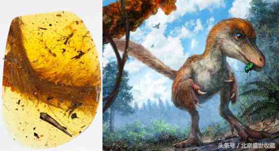 真正的琥珀多少錢一克(琥珀的7大神奇功效)