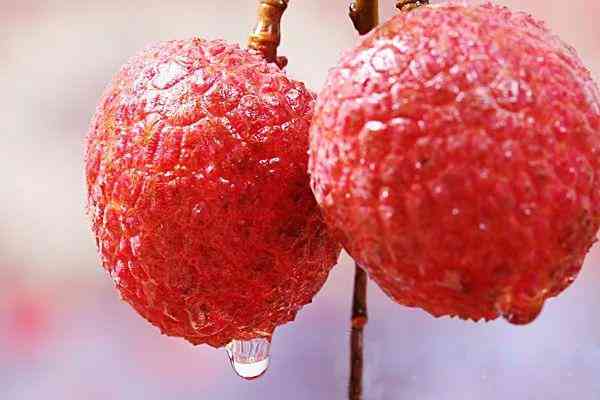 浦北今日金價(jià)回收多少一克(浦江黃金回收)