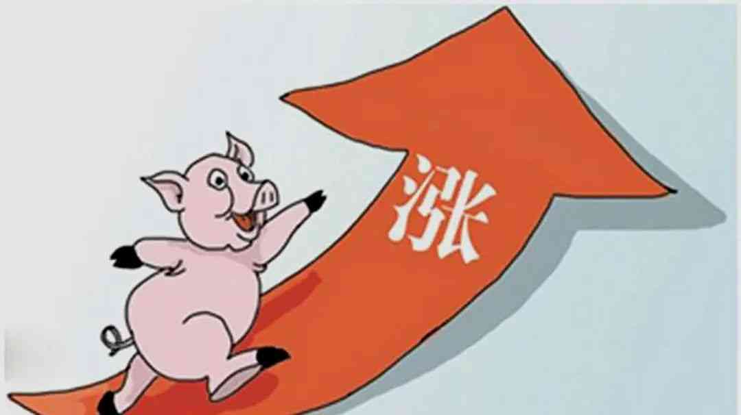 霸州今日黃金金價(jià)走勢(shì)圖(霸州黃金多少錢一克2020年)