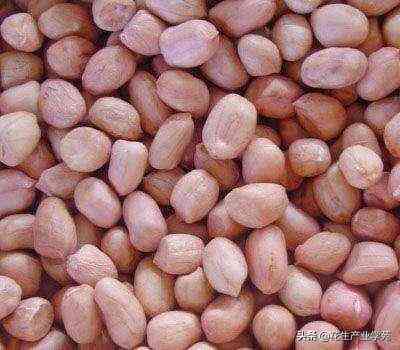 今日方城金價(jià)消息(方城金價(jià)格)