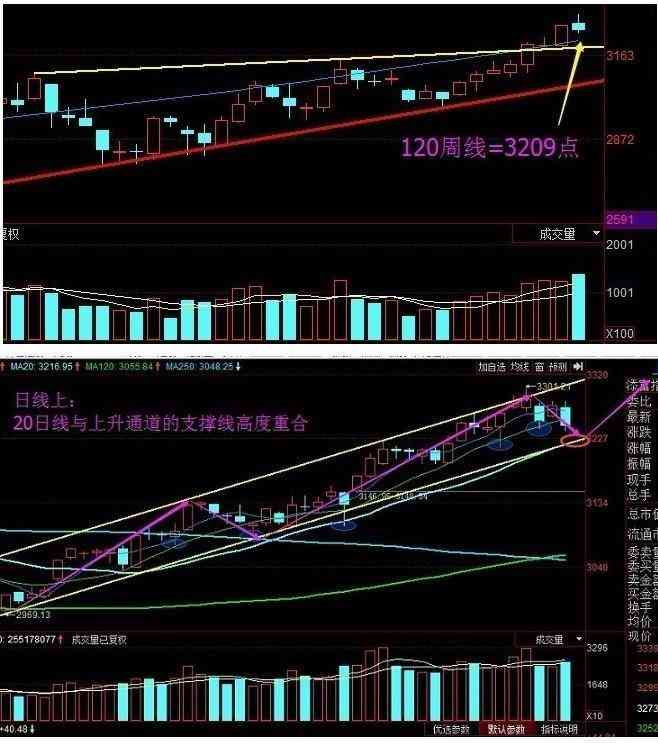 遨游今日金價查詢(遨游今日金價查詢消息)