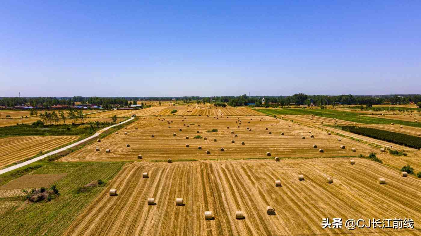 淮濱今日黃金價(jià)格查詢表(今日淮安黃金價(jià)格)