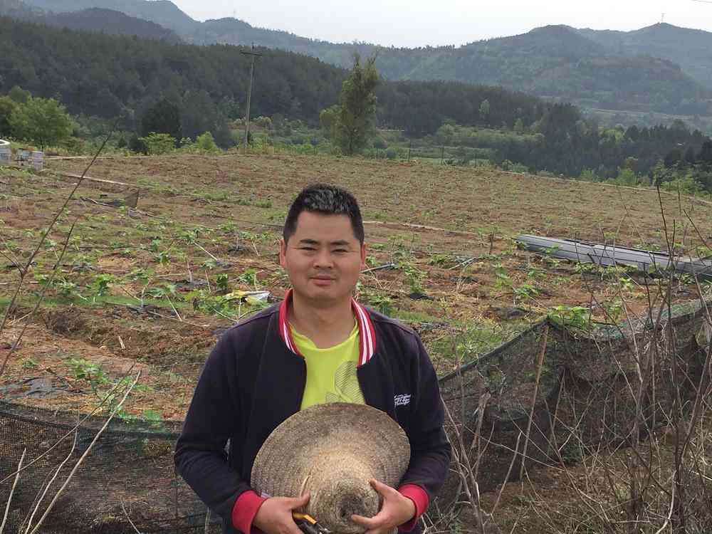 閬中二手黃金價格表今日(閬中市二手貨家具交易市場)
