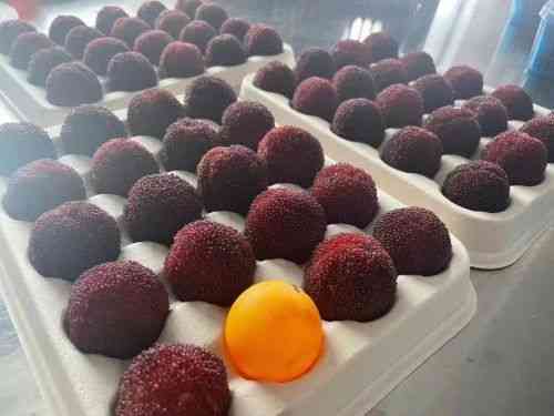 仙居今日金價(jià)多少錢一克(仙居黃金回收今天價(jià)格)