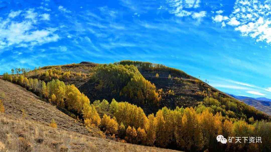 嵩縣今日金價成品價(嵩縣金價多少一克)