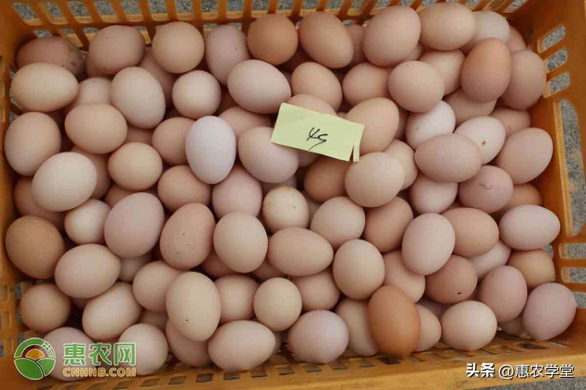 陽谷今日金價多少錢一克(陽谷黃金回收價格)