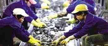 金屬鈦合金價(jià)格今日價(jià)格(鈦合金價(jià)格走勢(shì)圖)