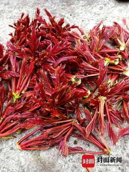 今日大竹黃金價(jià)格(重慶大足黃金價(jià)格)