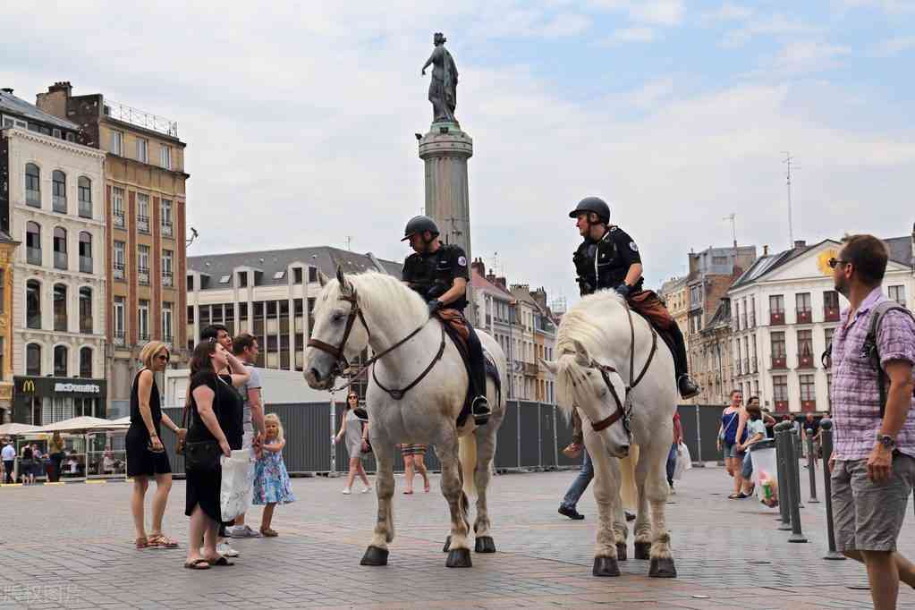 今日法國黃金價(jià)格查詢(法國黃金儲(chǔ)備多少噸)