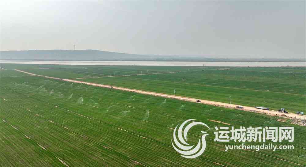 運(yùn)城市今日黃金價格表查詢(運(yùn)城黃金價格今日多少一克)