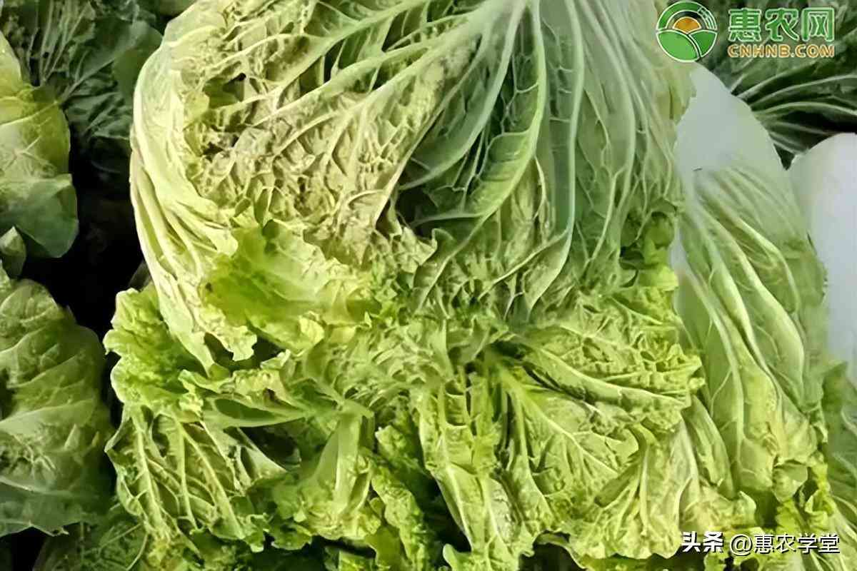 滕州今日金價查詢價格(滕州金店價格)