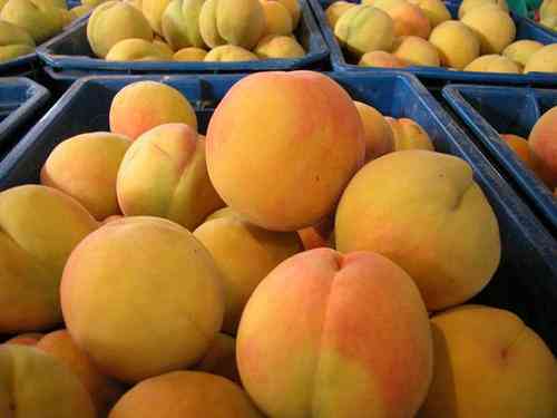 今日黃金價格黃金黃桃價格(黃桃價格表)